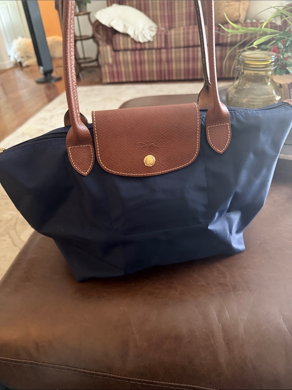 Longchamp Le Pliage Navy and Brown Tote Bag